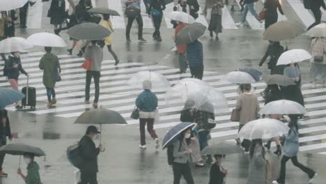 Menschenmenge-Mit-Regenschirmen,-Die-An-Einem-Regnerischen-Tag-In-Tokio,-Japan,-Am-Shibuya-Kreuz-Spazieren-Geht