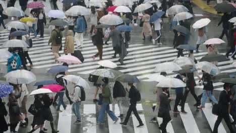 Crowd-Of-People-With-Umbrella-Walking-At-Shibuya-Crossing-On-A-Rainy-Day-In-Tokyo,-Japan