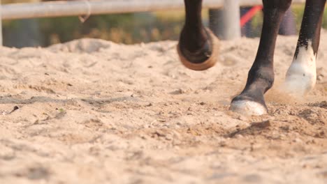 Horse-foot-gallop-detail-running-in-slow-motion-and-spreading-sand