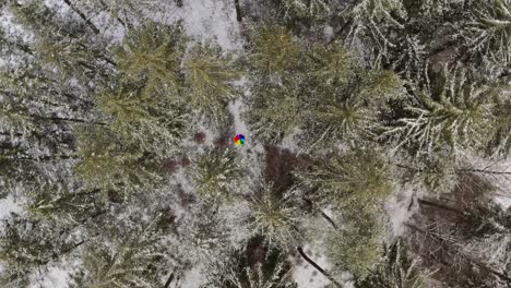 Cinematic-helix-shot-of-a-rainbow-colored-umbrella-in-the-middle-of-a-snow-covered-forest-in-the-wintertime---instagram-theme-shot-from-a-drone