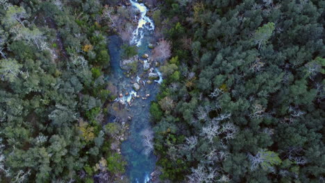 Wald,-Fluss-Und-Eine-Brücke-Von-Oben,-Drohnenaufnahmen