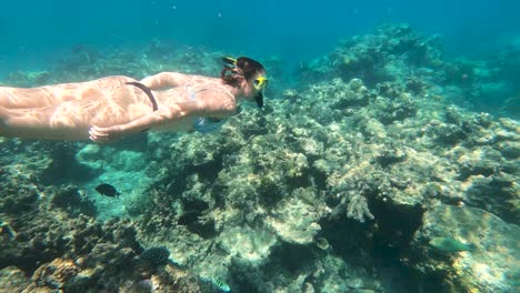 Weibchen-Schnorcheln-Unter-Wasser-Am-Great-Barrier-Reef