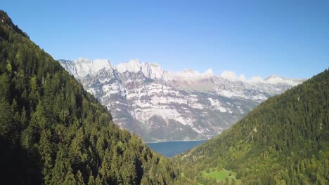 Volando-Hacia-Atrás-Sobre-Un-Bosque-En-El-Murgtal,-Suiza
