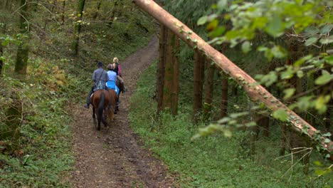 Slow-motion-shot-of-three-horse-riders-in-forest