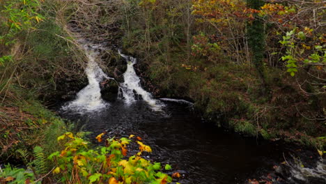 Kleiner-Wasserfall-An-Einem-Fluss-Mit-Herbstlichen-Bäumen-Drumherum