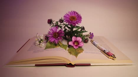 Close-Up-of-Flowers-and-Pen-on-the-Book-in-the-Dark