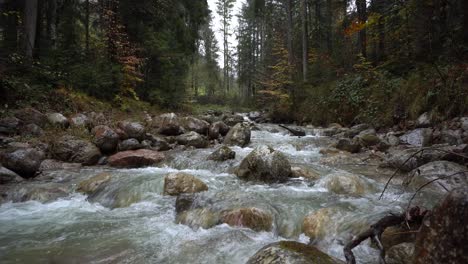 Gebirgsbach-In-Den-österreichischen-Alpen-Und-Klares-Wasser-An-Regnerischen-Tagen-Im-Wald
