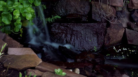Time-lapse-and-time-exposure-of-a-small-waterfall-and-freshwater-pond