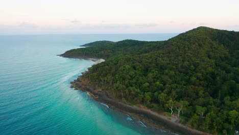Drone-footage-of-a-forest-right-by-a-deep-blue-ocean