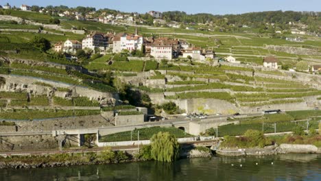 Luftaufnahmen-Nähern-Sich-Einem-Typischen-Dorf-Im-Lavaux-Weinberg-Und-Der-Umlaufbahn,-Um-Den-Genfersee-Und-Die-Alpen-Im-Hintergrund,-Rivaz,-Die-Schweiz,-Sichtbar-Zu-Machen