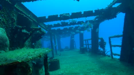 Shipwreck's-port-side-deck-with-fish-and-current