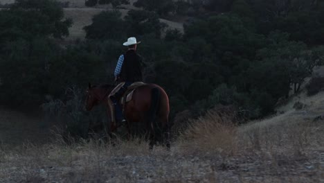 Cowboy-scanning-his-surroundings-on-his-horse-looking-for-cattle
