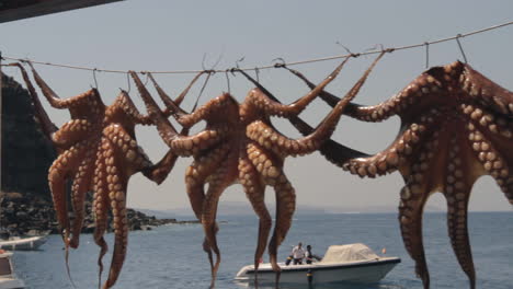 Octopuses-dry-on-a-line-in-the-sun,-at-a-small-Greek-fishing-harbor
