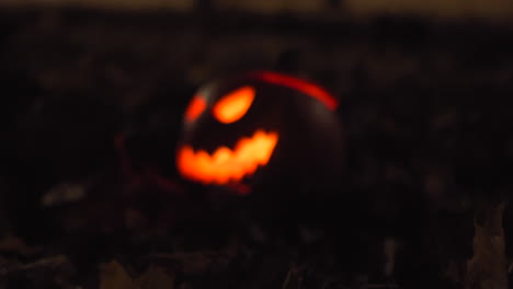 Spooky-halloween-pumpkin-in-forest