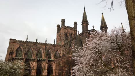 Chester-Cathedral-showing-trees-in-bloom-in-Spring,-Cheshire,-UK