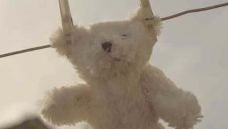 Teddy-bear-hangs-on-washing-line