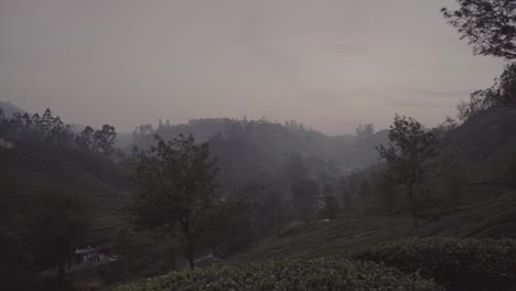Panning-shot-across-Munnar,-India-tea-plantation