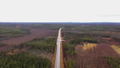 Aerial-view-of-highway-going-through-big-forest