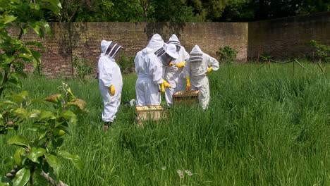 A-team-of-volunteer-beekeepers-tend-a-hive-in-the-walled-garden-of-Fulham-Palace