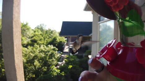 A-tiny-humming-bird-with-green-feathers-hovers-around-a-bird-feeder-in-slow-motion-and-hesitantly-takes-a-drink-because-of-a-human-finger-next-to-the-dispenser-and-flies-away