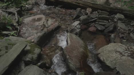 Wasser-Fließt-über-Felsen-Und-Bäume-Am-Wissahickon-Creek