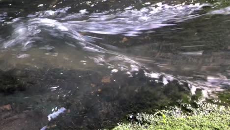 El-Agua-Fluye-Rápidamente-Provocando-Una-Ondulación-Sobre-Algunas-Rocas-Subterráneas