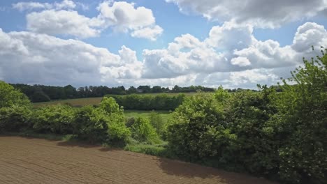 Lateral-travelling-of-fields-and-tree-from-a-drone-view