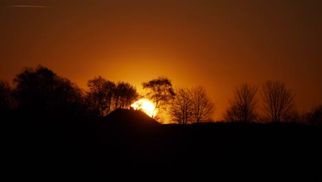 Wunderschöner-Sonnenuntergang-über-Dem-Wald-Auf-Der-Südhalbkugel