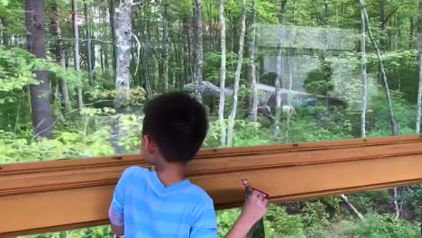 A-boy-looking-out-the-window-of-a-moving-train-ride-and-seeing-life-sized-dinosaurs-hiding-behind-trees