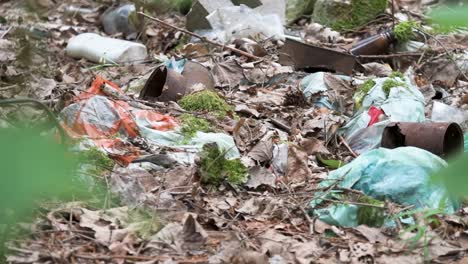 Mülldeponie-Im-Wald,-Plastikmüll,-Müll
