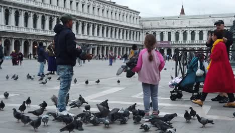 Man-holding-pigeons-with-tourists-in-Venice-city-central-square
