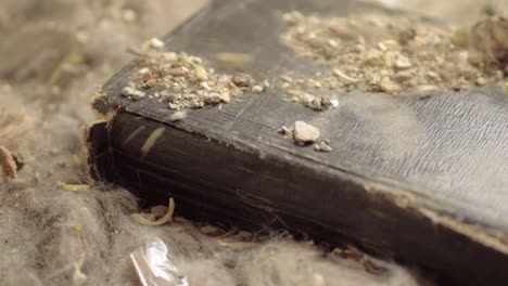 Wind-blowing-off-dust-and-dirty-of-an-ancient-book