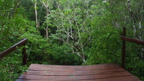 Eine-Holzbrücke-Im-Dschungel