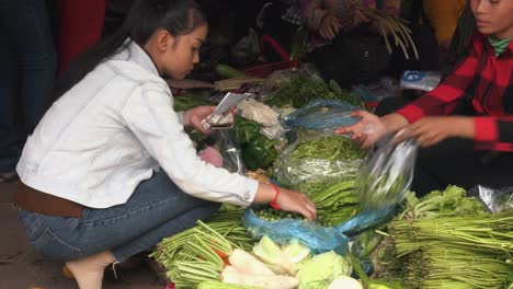 Lady-Selecting-Vegetables-to-Buy-at-Market