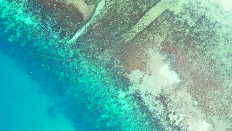 Sea-texture-with-coral-reefs-under-calm-clear-water-of-turquoise-lagoon-on-shore-of-tropical-island-in-Caribbean