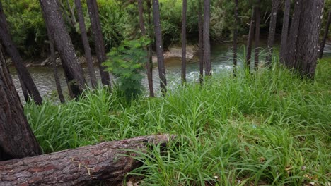 Fernblick-Auf-Den-Wunderschönen-Fluss-Manya-In-Papua-Neuguinea