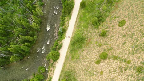 4k-drone-footage-looking-straight-down-as-cyclists-race-on-gravel-road-next-to-a-mountain-stream-surrounded-by-pine-trees
