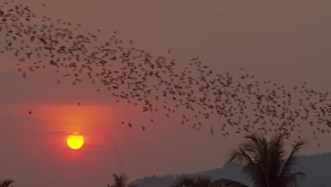 Thousands-of-bats-fly-through-the-sky-in-front-of-a-glowing-orange-and-red-setting-sun,-with-mountains-in-the-background-in-Battambang,-Cambodia