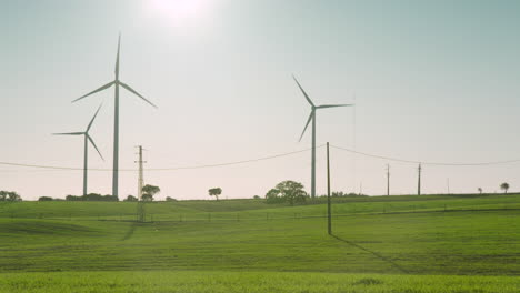 Sun-hangs-in-clear-sky-over-three-spinning-wind-turbines-in-green-meadow