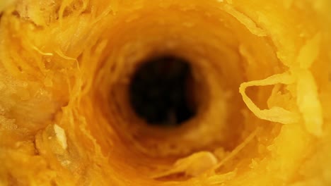 Starting-inside-the-core-of-a-cored-out-gourd,-moving-through-core-with-great-macro-view-of-interior,-great-macro-of-pulp-of-vegetable-and-stringy-bits