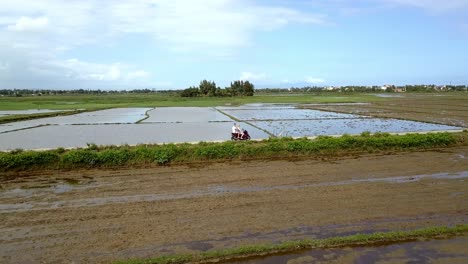 Tourist-couple-of-Blonde-female-tourist-and-male-riding-a-moped-along-rice-paddies-in-the-farm-fields,-Aerial-circle-around-shot