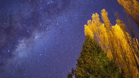Zeitraffer-Der-Milchstraße-In-Patagonien,-Argentinien,-Weitwinkelaufnahme