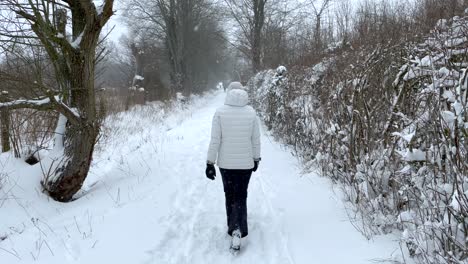 Woman-In-White-Winter-Coat-Walking-Through-Snowdrift-Tracks-In-Winter-Forest