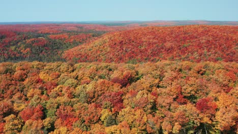 Aerial-view-flying-over-rolling-hills-with-dense-forest-and-beautiful-fall-colors---drone-day