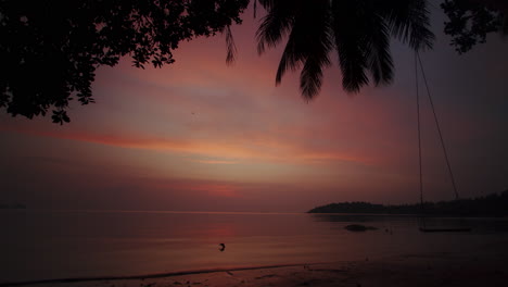 Tropischer-Sonnenuntergang-Am-Strand-Ohne-Menschen-Und-Schaukel-Mit-Baumsilhouette
