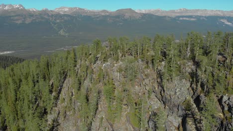Aerial-Drone-View-Flight-over-pine-tree-forest-in-Mountain-during-the-day,-Banff-Canada