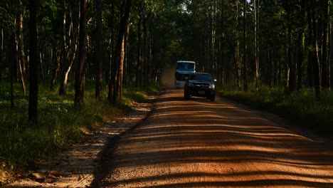 Forest-trees-casting-lines-of-shadows-on-a-brown-dirt-road,-time-lapse,-while-a-car-goes-out-of-the-sanctuary,-truck-and-a-bus-approaches-as-they-all-left-a-trail-of-dust,-Huai-Kha-Kaeng,-Thailand