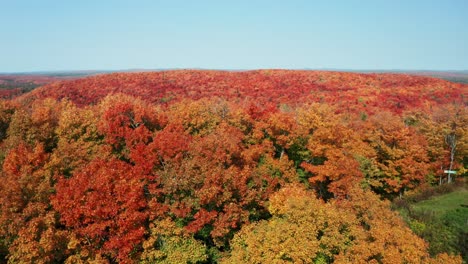Aerial-ascending-view-of-colorful-forest-with-changing-leaves-in-autumn-extending-onto-rolling-hills-in-the-distance
