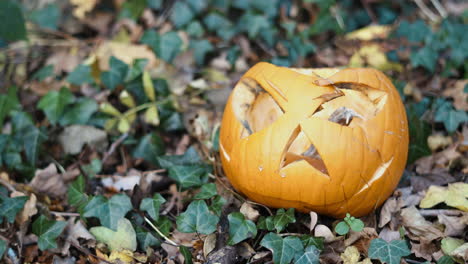 A-decaying-pumpkin-on-the-forest-floor