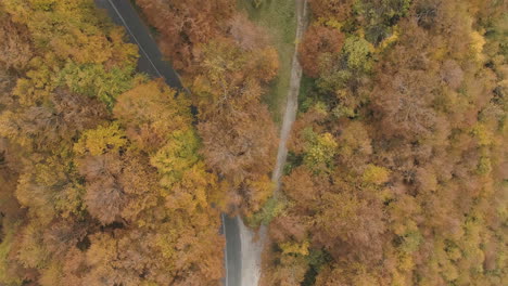 Spin-aerial-footage:-road-junction-in-the-middle-of-the-autumn-colored-woods